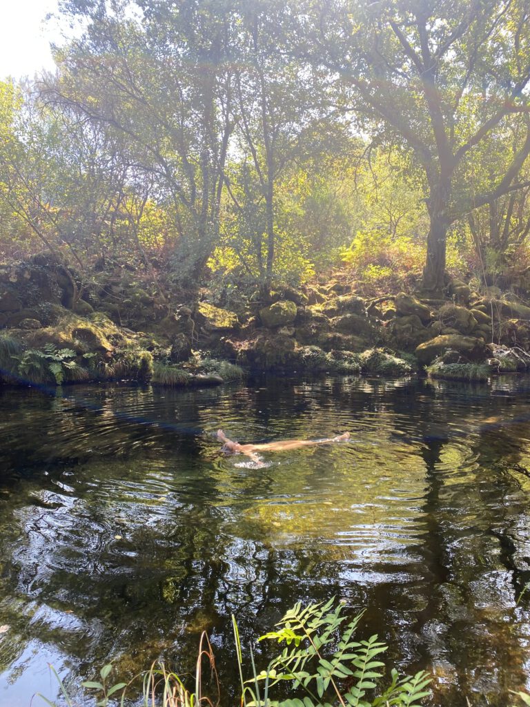 woman nature wellness